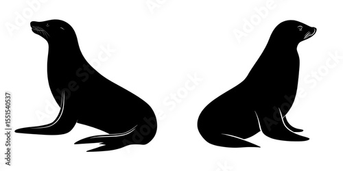 The illustration features a seal in a cute pose, created using ink sketch techniques and set against a clean white background