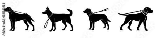 A dog is depicted in a modern illustration as a black silhouette, wearing a collar and leash, shown in full length from a side view, isolated on a white background