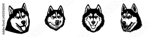 Modern illustration of a Siberian Husky dog breed head, depicted as a hand-drawn black doodle on a white background, creating a pet portrait
