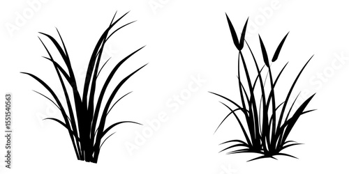 The silhouette of grass is depicted in a modern illustration on a white background