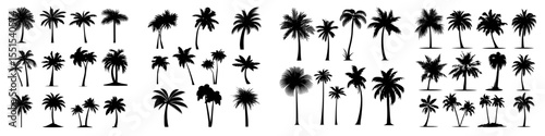 Modern illustrations of diverse palm tree shapes on a white background, ideal for summer, travel, and vacation designs featuring tropical palm tree silhouettes