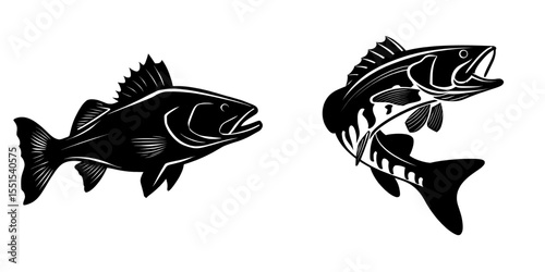 The common snook fish is depicted in a modern silhouette illustration on a white background