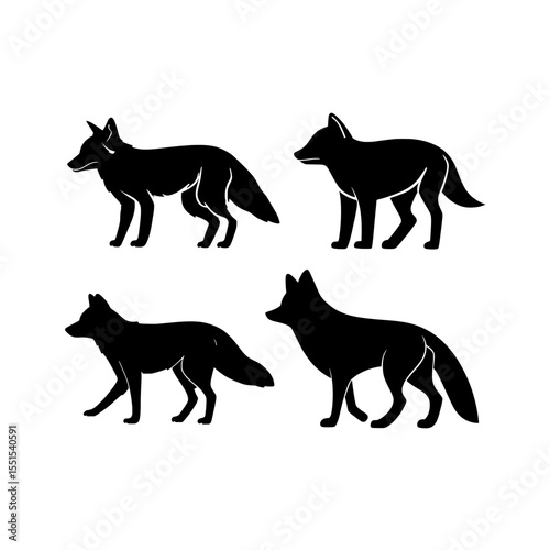 A set of four black Coyote silhouettes are presented in a modern style, isolated on a white background with transparent illustration