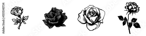 A realistic, dried rose is depicted in isolation on a white background, rendered in a line art style, symbolizing a dead flower in a modern illustration