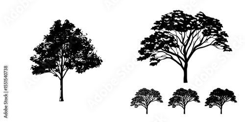 The image features a modern watercolor tree shown from the side, isolated on a white background, and is intended for use in landscape and architecture drawings, with applications in environment and