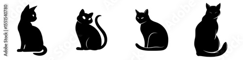 Modern flat illustration of a black cat silhouette looking back, set against a white background