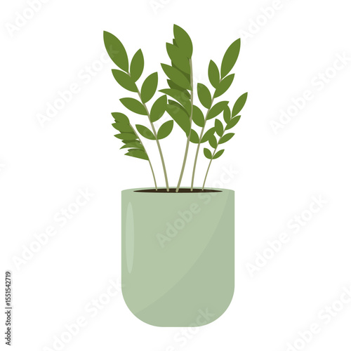 ZZ plant in pot, Zamioculcas. Zanzibar gem plant. Indoor potted plants. Interior home decoration. Vector illustration, flat style.