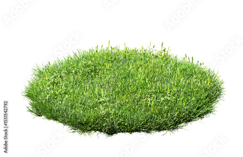 green grass turf isolated on white background