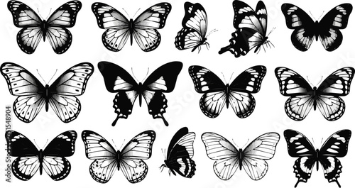 Create a kinds of deferent Collection of beautiful butterflies, black and white insects top and side view. Vector art silhouette with white background.