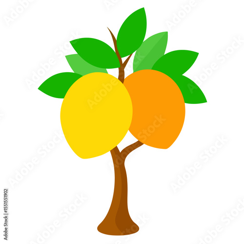  mango tree vector illustration on-white-background