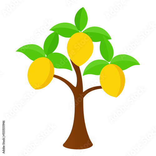 mango tree on-white-background