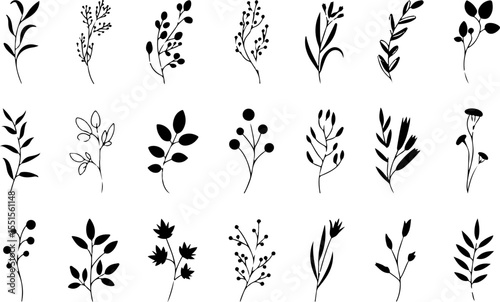 Minimal feminine botanical floral branch set in silhouette style and illustration, coloring book page