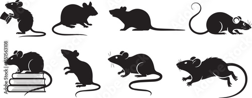 Set of various poses cute rats silhouette vector collection