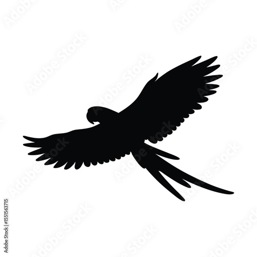 Silhouette of flying parrot bird vector art isolated on white