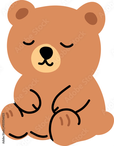 Sleeping Teddy Bear