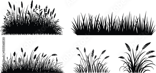 Collection of lush decorative grass silhouette vector with flower and spikelet elements for nature design