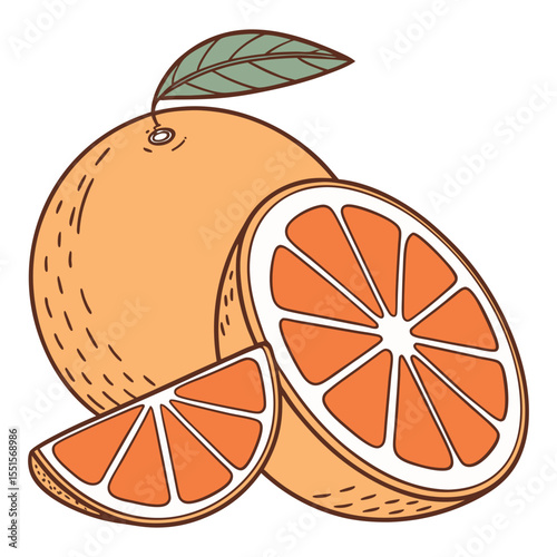 Stylized illustration of a whole orange with a leaf and two slices showing segments and pith on a white background