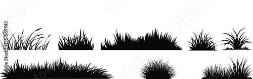 Beautiful lineup of wild and decorative grass silhouette vector sets with ornamental plant detail