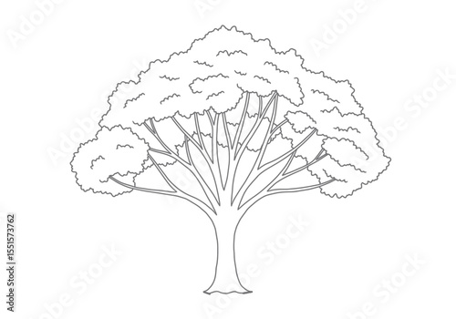 Big tree drawing. It is a vector sketch line art drawing of a large, mature tree, featuring a wide canopy and robust trunk, symbolizing nature's grandeur and strength. Vector sketch line art draw.