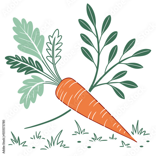 illustration, digital art, vibrant colors, detailed, realistic, botanically accurate, carrot vegetable plant, green leaves, botanical drawing, detailed foliage, lush greenery, minimalist, flat design
