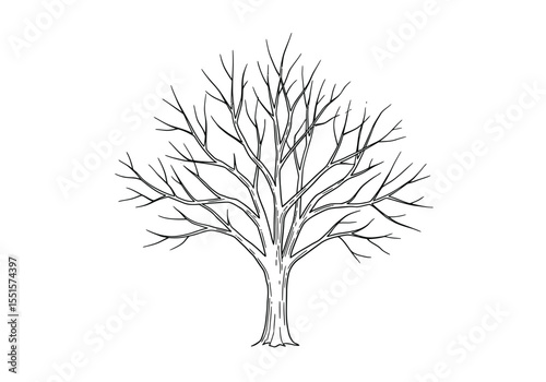 Dead tree drawing. It is a vector sketch line art drawing of a leafless tree with stark branches, symbolizing decay or winter. Vector sketch line art draw.