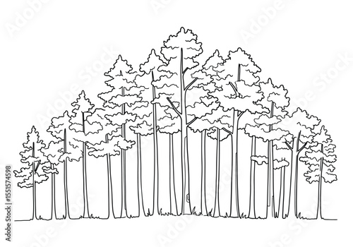 Forest tree drawing. It is a vector sketch line art drawing of a dense forest with tall trees, evoking a sense of wilderness. Vector sketch line art draw.