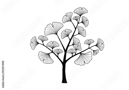 Ginkgo tree drawing. It is a vector sketch line art drawing of a ginkgo tree branch with distinctive fan-shaped leaves. Vector sketch line art draw.
