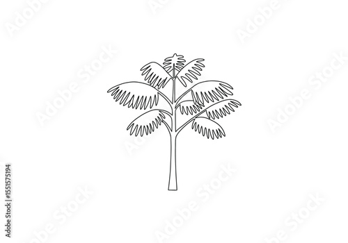 Khajur tree drawing. It is a vector sketch line art drawing of a date palm tree, with hanging fronds, representing desert or tropical environments. Vector sketch line art draw.