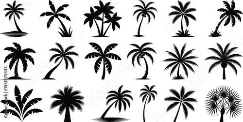 Large collection of palm tree silhouette vector set in different styles and tropical arrangements