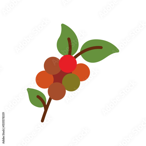 Vector illustration of a coffee plant