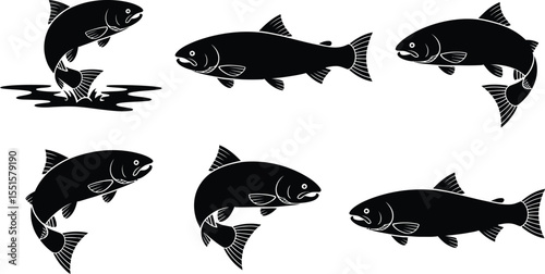 Salmon and trout swimming silhouette vector collection in jump and underwater positions
