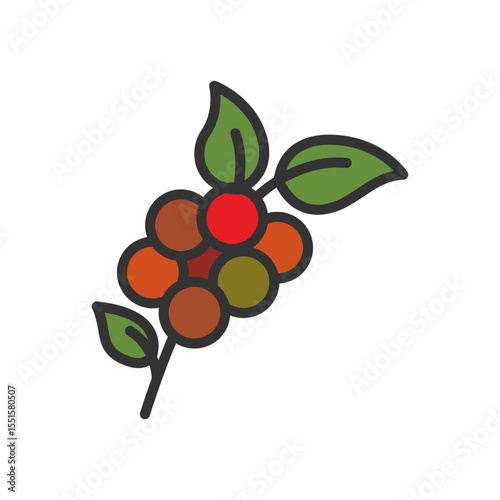 Vector illustration of a coffee plant