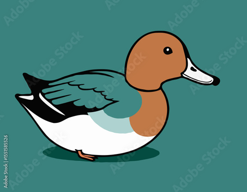 Wigeon