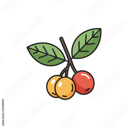Colorful Flat Icon of a Yunnan Hackberry Fruit with Deep Color