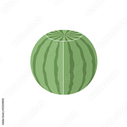 Stylized Watermelon with Sliced Top and Vertical Divisions Green Rind.
