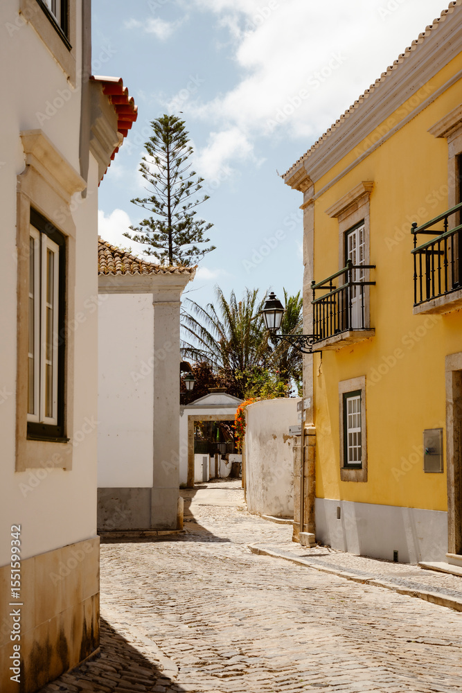 Fototapeta premium Photo of Faro marina from a bird's eye view, Portugal