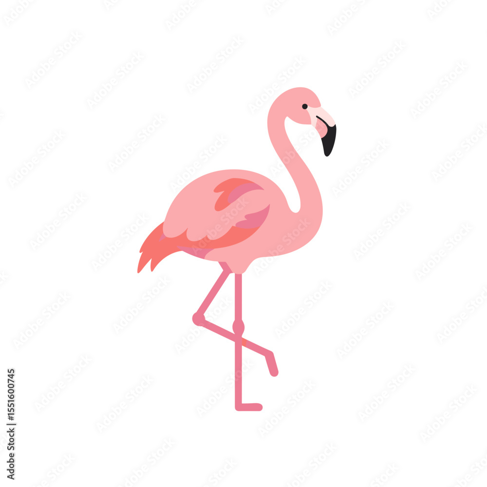 Fototapeta premium Adorable Pink Flamingo in Profile View.