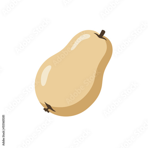 Stylized Butternut Squash with Smooth Tan Skin and Short Brown Stem.