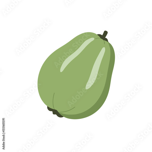 Stylized Green Chayote Squash with Stem and Subtle Highlight.