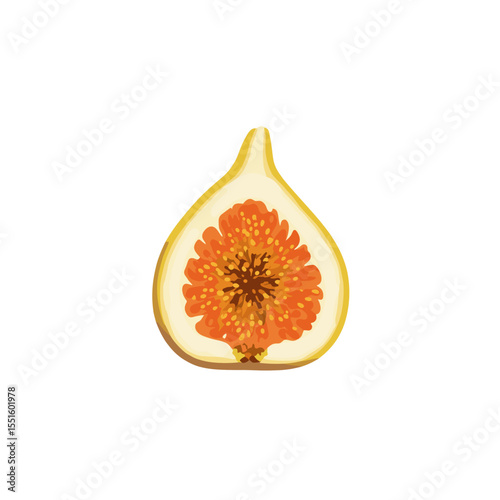 Halved Fig Illustrative Art: Pale Yellow Skin Vibrant Orange Interior.