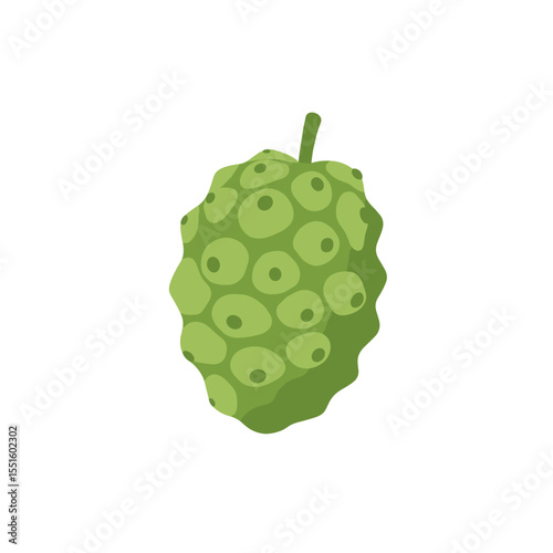 Detailed Illustration of a Green Noni Fruit with Textured Surface.