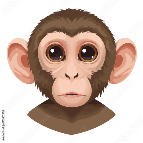 Cartoon monkey head with big brown eyes and large ears looking forward.