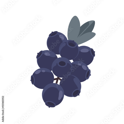 Cluster of Ripe Blueberries with Delicate Leaf.
