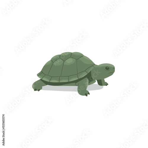 Green Turtle Walking Side Profile Illustration.