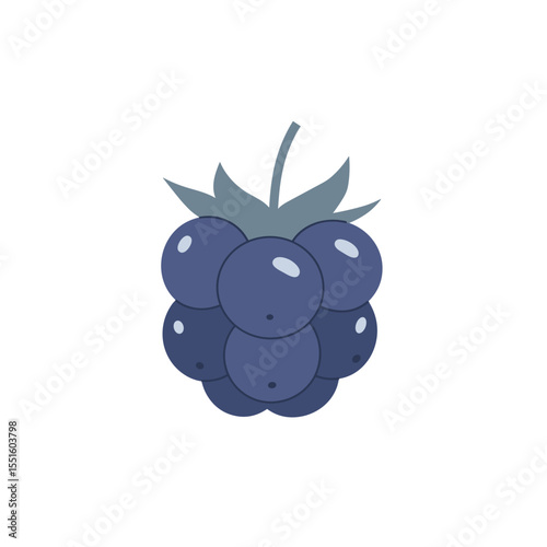 Vibrant Illustration of a Single Ripe Blackberry.
