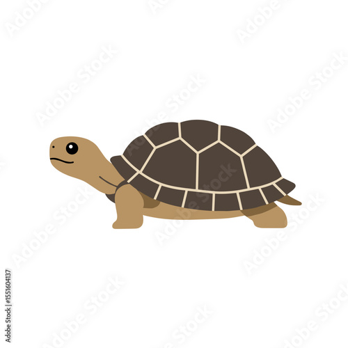 Side Profile of a Cute Cartoon Tortoise Walking.