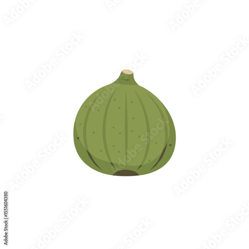 Single Green Fig Illustration: Detailed Botanical Artwork.