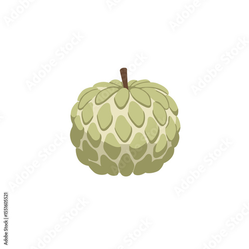 Vibrant Illustration of a Single Scaly Custard Apple.