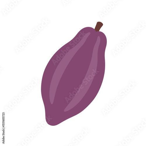 Stylized Purple Cacao Pod with Brown Stem Isolated.