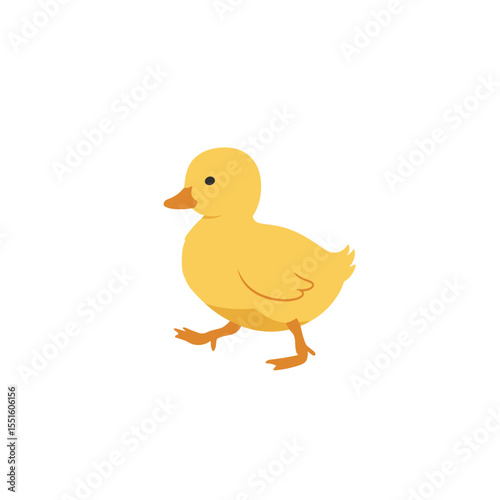 Adorable Yellow Duckling Walking with Orange Beak and Black Eye.